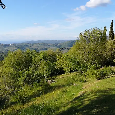 Sant'uberto Country * Radda in Chianti