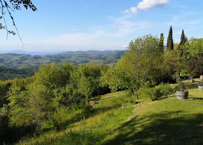 Sant'uberto Country * Radda in Chianti